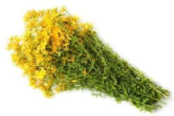 Barishte