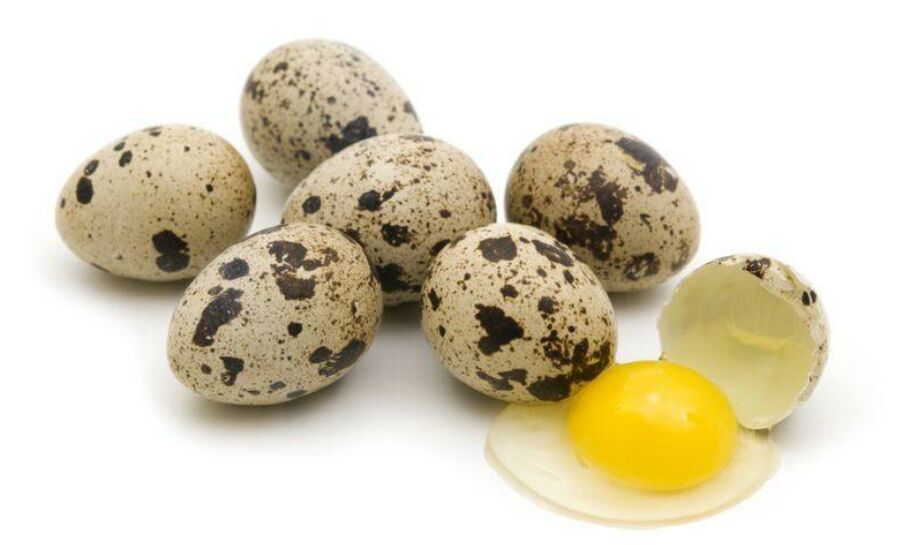 Vezët e Quail për fuqi