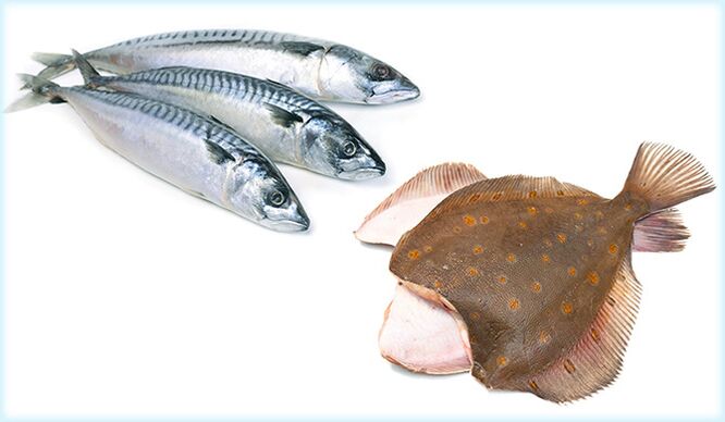 Skumbri dhe kërmilli - një peshk që rrit fuqinë tek meshkujt