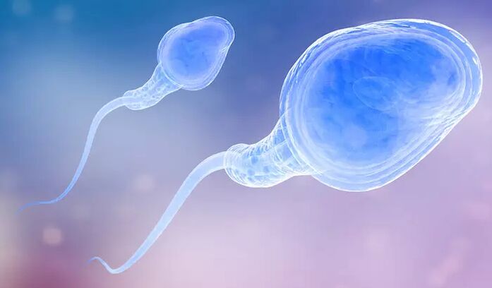 Spermatozoidet mund të jenë të pranishme në para-ejakulatin e një mashkulli